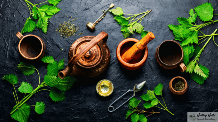 The Magic of Ayurvedic Herbs: Unlocking Nature's Healing Power